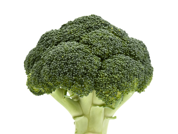 Du brocoli. Légume vert profond sain isolé sur fond blanc
 - Photo, image