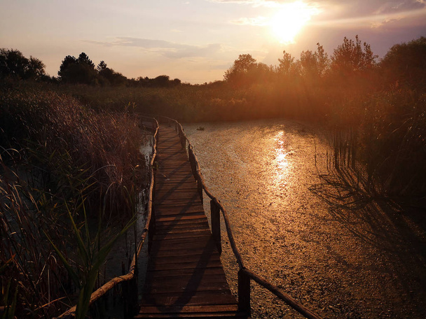 Dřevěná cesta přes bažiny na letní západ slunce - Fotografie, Obrázek