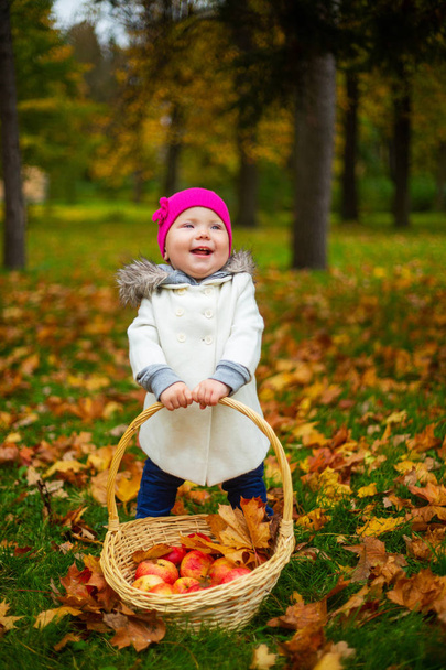 happy baby girl  with a basket with apples outdoor in the autumn park - Foto, afbeelding