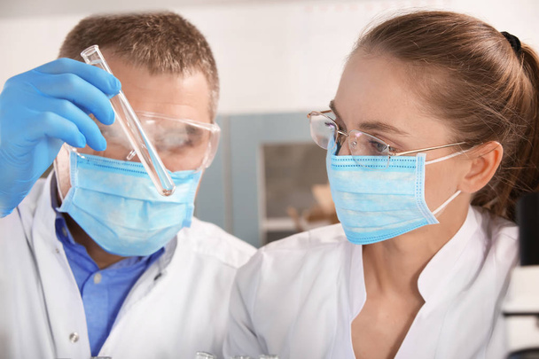 Científicos femeninos y masculinos trabajando en laboratorio
 - Foto, imagen