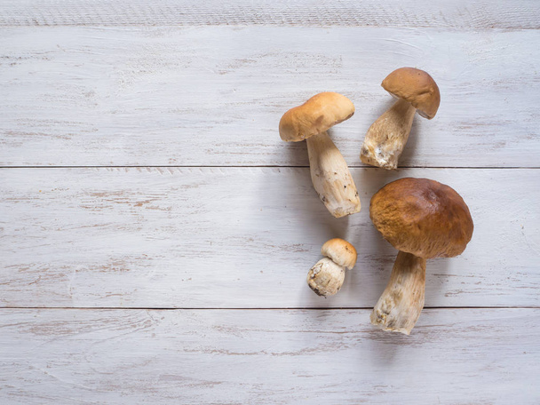 Wild penny bun on the white wooden table. Harvest autumn edible mushrooms. - Photo, Image