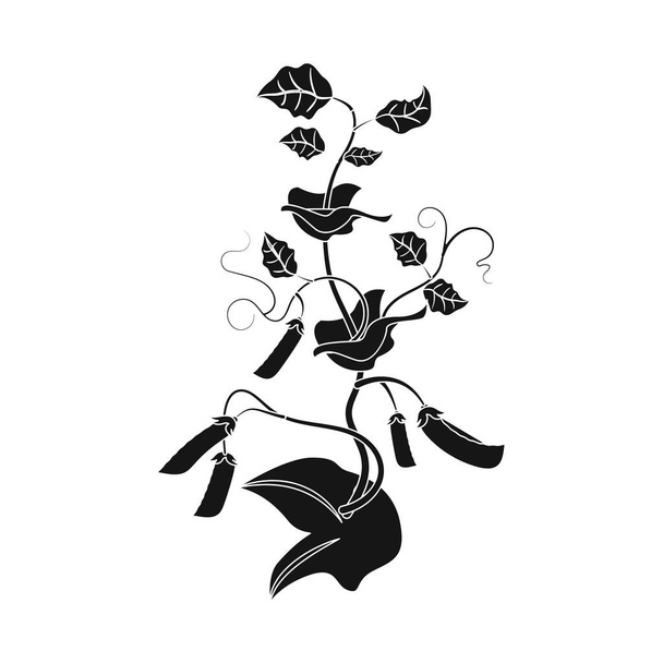 Vector illustration of greenhous and plant logo. Set of greenhous and garden stock symbol for web. - Vektor, obrázek