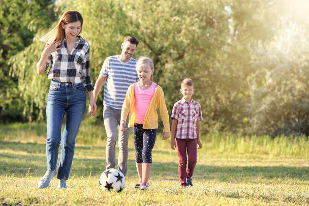 Rodina hrát fotbal v parku v letním dni - Fotografie, Obrázek