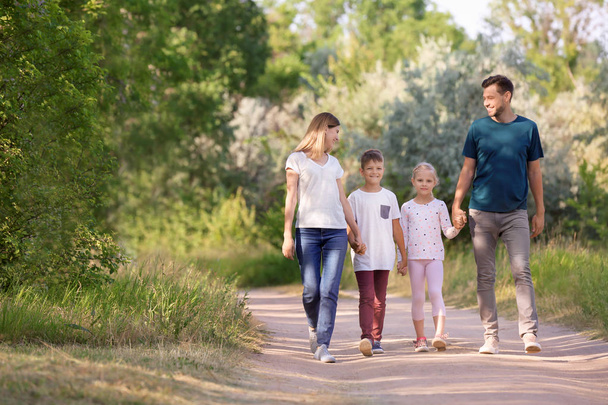 Семейная прогулка в парке в летний день
 - Фото, изображение