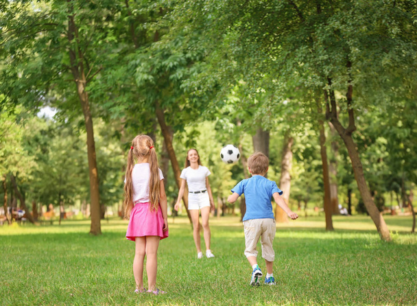 Mutlu aile yaz günü parkta futbol oynarken - Fotoğraf, Görsel