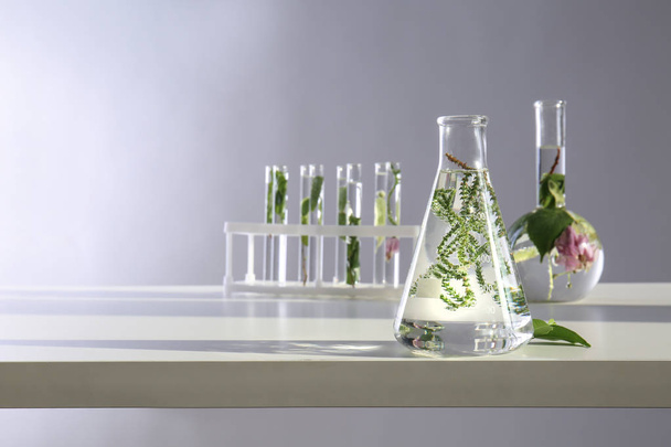 Frasco de vidrio con planta sobre mesa
 - Foto, imagen