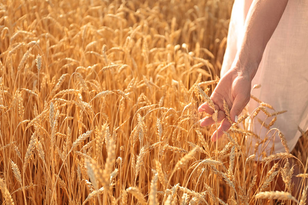 Mooie vrouw aanraken van tarwe spikelets in veld op zonnige dag - Foto, afbeelding
