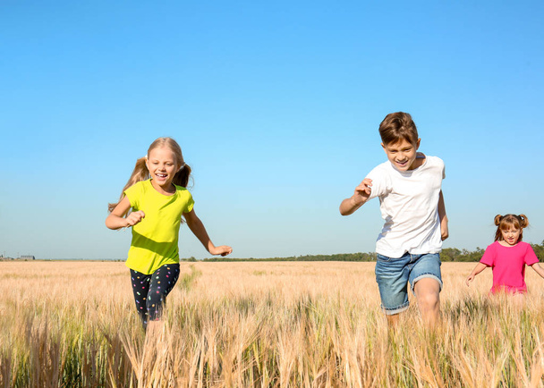 晴れた日に麦畑で遊ぶかわいい子供たち - 写真・画像
