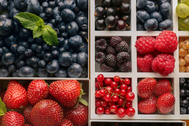 Boxes with delicious ripe berries, closeup - Photo, Image