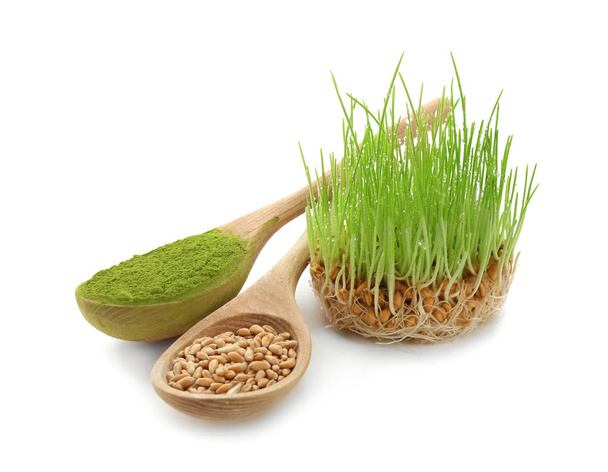 Composición con hierba de trigo germinada sobre fondo blanco
 - Foto, imagen