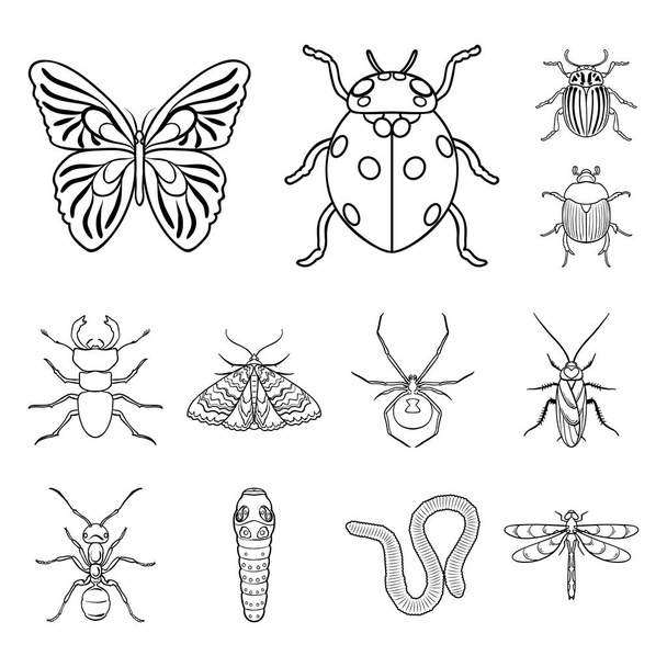 Different kinds of insects outline icons in set collection for design. Insect arthropod vector symbol stock web illustration. - Vector, afbeelding