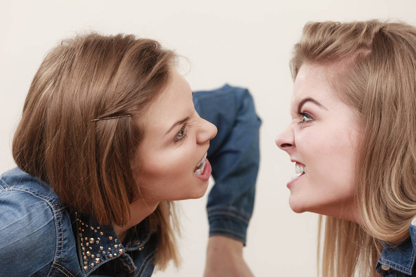 Two women having argue mocking up being mad at each other. Female telling off, ignorance coversation concept. - Photo, Image