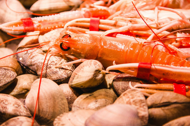 seafood fish and shrimps in la boqueria market in barcelona spain - Photo, Image