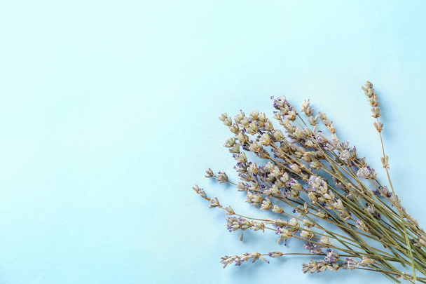 Beautiful lavender flowers on color background - Foto, Imagem