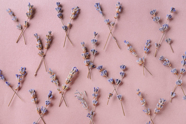 Beautiful lavender flowers on color background - Foto, Bild