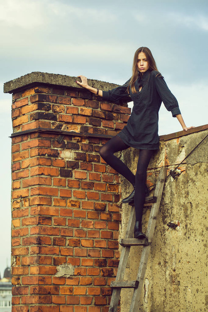 Pretty girl on wooden ladder - Fotografie, Obrázek