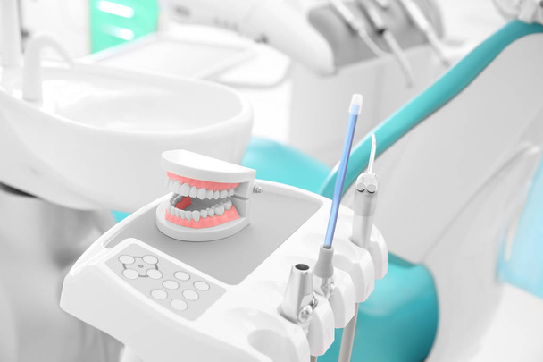 Модель щелепи та обладнання в кабінеті сучасного стоматолога
 - Фото, зображення