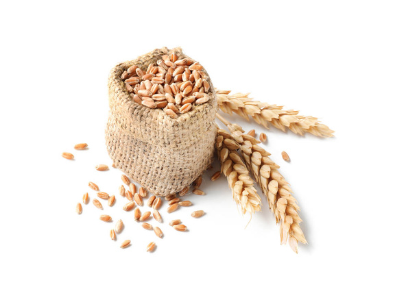 Bolsa con granos de trigo sobre fondo blanco
 - Foto, Imagen