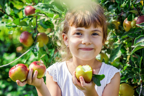 Dítě s jablkem. Selektivní soustředění. Zahradní jídlo - Fotografie, Obrázek
