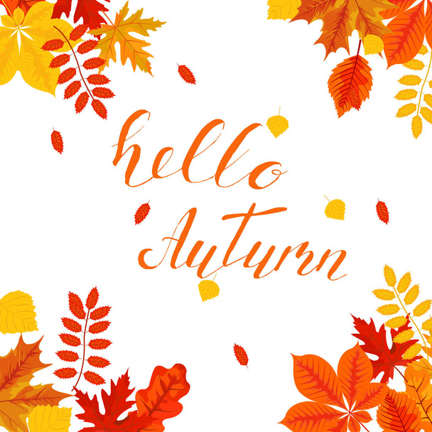 Banner with colored autumn leaves for bright, seasonal design, vector illustration - Vector, imagen
