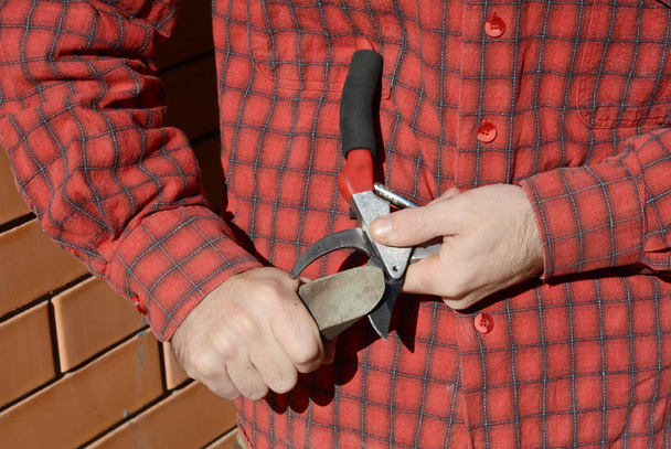 Gardener Hands Sharpen Pruning Shears. Gardener Cleaning and Sharpening Garden Tools. - Фото, изображение