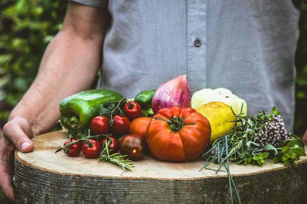 Organic vegetables. Farmers hands with freshly harvested vegetables. Fresh organic tomatoes - Фото, изображение