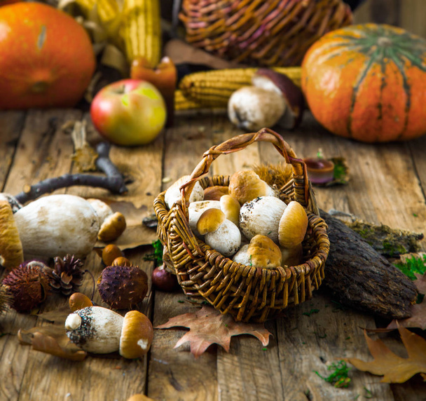 Mushroom  over Wooden Background. Autumn Cep Mushrooms on wood. Autumn forest fruit - Foto, afbeelding