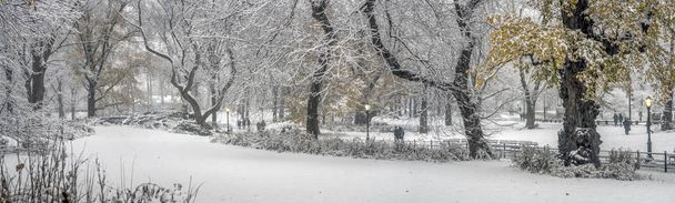 Central Park, New York City während eines Schneesturms am frühen Morgen - Foto, Bild