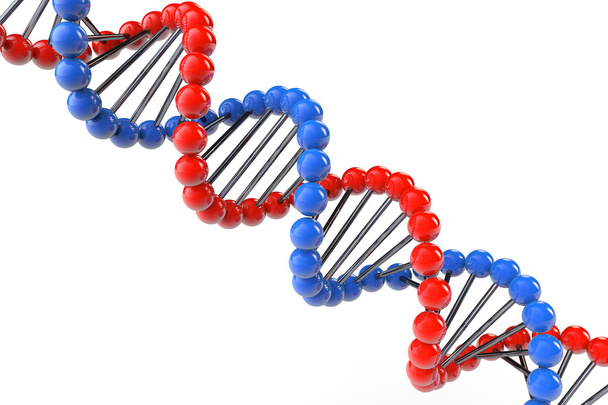 ДНК-структура
 - Фото, изображение