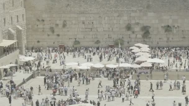 Ściana płaczu świętego miasta 4k mount żydowskiej świątyni - Materiał filmowy, wideo