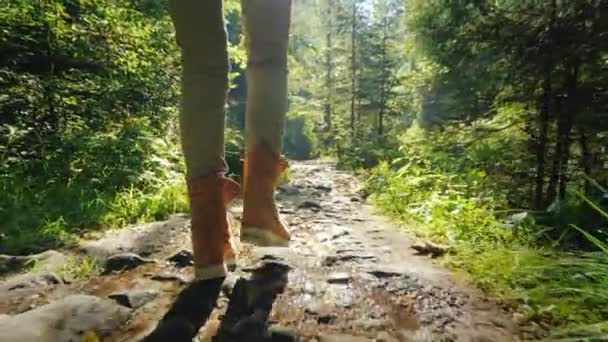 Seuraa laukaus: Mies vaellus saappaat kävelee pitkin liukas kivinen polku metsässä
. - Materiaali, video