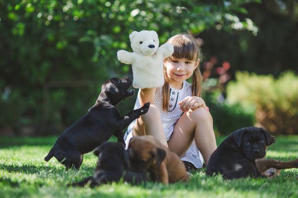 roztomilá holčička hraje s štěňata venkovní - Fotografie, Obrázek