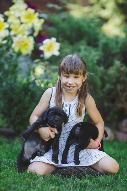 屋外の子犬と遊ぶかわいい女の子 - 写真・画像