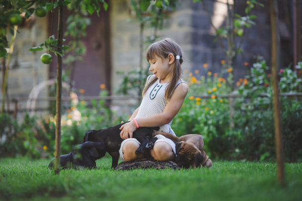 mignonne petite fille jouer avec des chiots en plein air
 - Photo, image