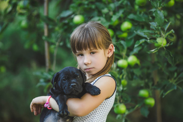 cute Little girl playing with puppy outdoor - Photo, Image