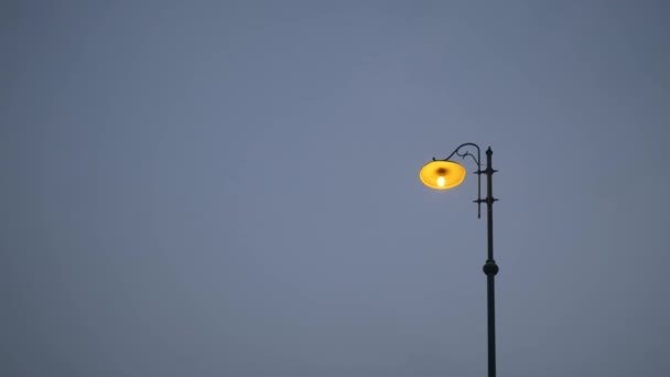 Una lámpara de luz de la ciudad de calle contra el fondo del cielo al atardecer. Texto del espacio de copia
 - Metraje, vídeo