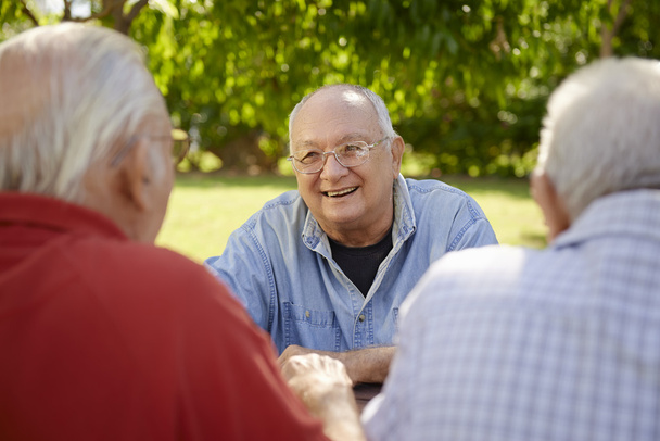 Group of senior men having fun and laughing in park - Photo, Image