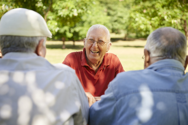 Группа пожилых людей веселится и смеется в парке
 - Фото, изображение