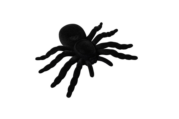 クリッピング パスと白い背景に分離されたハロウィーン黒蜘蛛 - 写真・画像