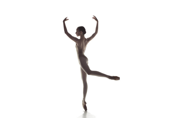 Ballerina. Young graceful female ballet dancer dancing isolated on white. Beauty of classic ballet. - Фото, изображение