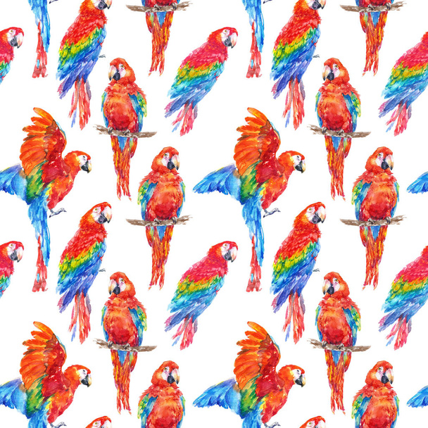 Colorful parrot tropical bird watercolor illustration seamless background - Fotoğraf, Görsel
