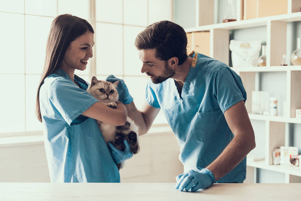 Smiling Professional Veterinarian Holding Cute Cat. Female Doctor Veterinarian is Holding Cute White Cat on Hands at Vet Clinic and Smiling. Veterinarian Concept. - Zdjęcie, obraz