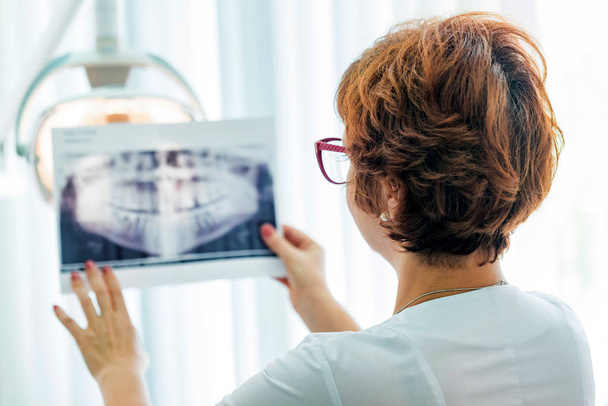 Dentysta bada orthopantomogram w ręce - Zdjęcie, obraz