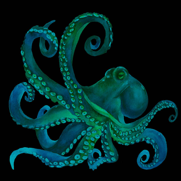  watercolor octopus. sea poulpe, devilfish with tentacles illustration isolated on white background - Foto, immagini