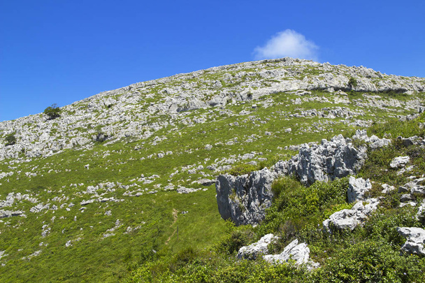 Cantabria, Liendo municipality, hiking route to Monte Candina, surroundings - Valokuva, kuva