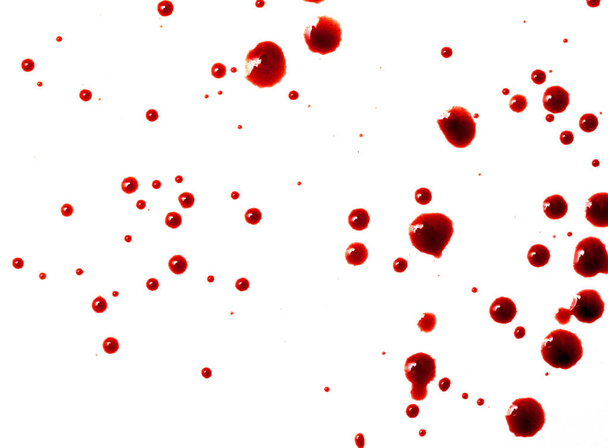 gotas de sangue vermelho no papel branco
 - Foto, Imagem