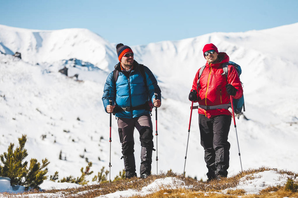 Két mászó találhatók a hegység télen hóval borított fenyők ellen. Hegymászás a hátizsákok. Két jó barát együtt utazik, festői helyen. - Fotó, kép
