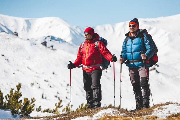 Zwei Bergsteiger sind im Winter in den Bergen gegen schneebedeckte Tannen. Klettern mit Rucksäcken. zwei Freunde reisen zusammen an malerischen Orten. - Foto, Bild