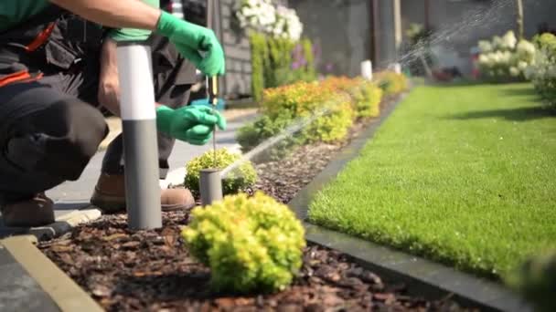 Nastavení automatické zahrada trávník Sprinkler profesionálním zahradníkem - Záběry, video