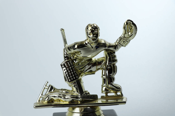 Una copa para el mejor goalman de hockey en algún torneo especial de la temporada. Fondo blanco
 - Foto, imagen